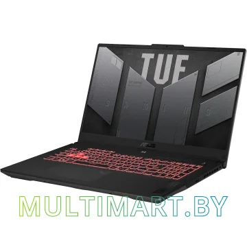 Игровой ноутбук ASUS TUF Gaming A17 2023 FA707NUR-HX057 (90NR0JL5-M002W0) картинка 3